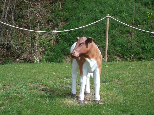 veau