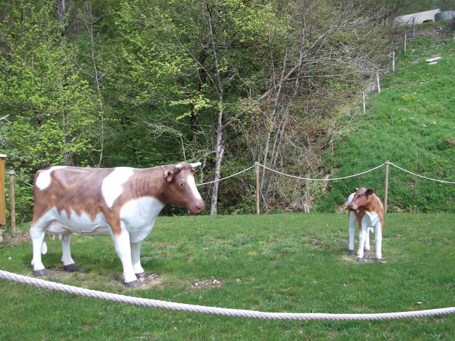 vache et veau